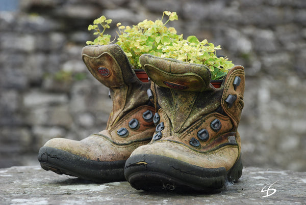 Irish Shoes